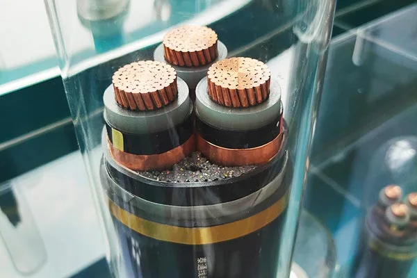 Comprehensive Service Support